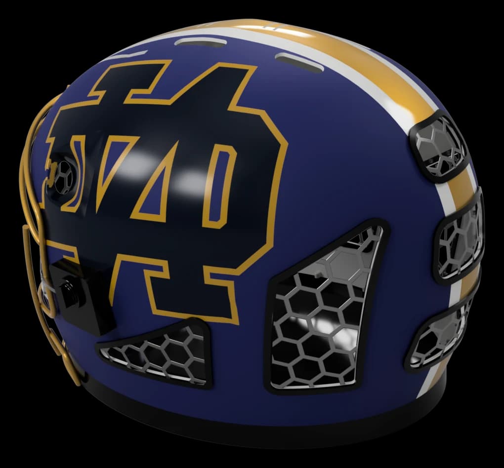 Navy & gold — rear